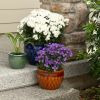 planColorful Jewel-Tone Flower Pot Set - Trio of Vibrant Planters for Home Decor